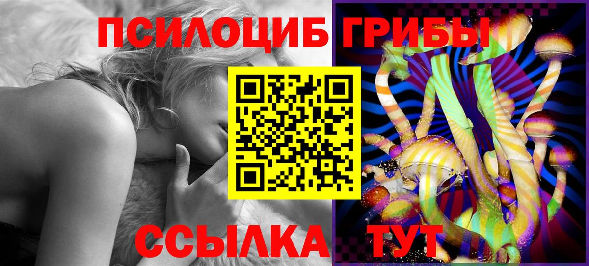 Галлюциногенные грибы Psilocybine cubensis  Вход с VPN  Дедовск 