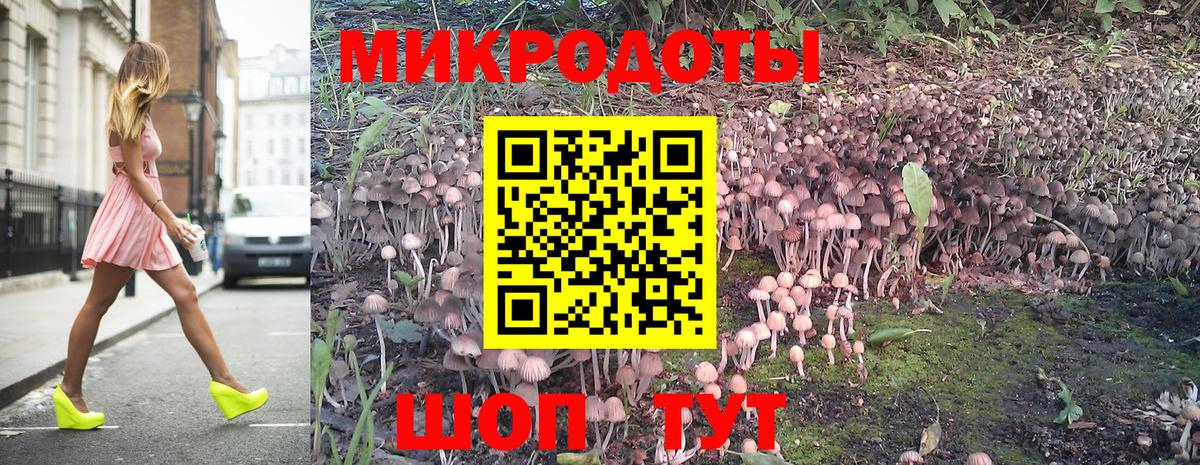 Галлюциногенные грибы ЛСД Дедовск